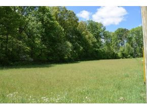 5.05 Reece Road Chuckey, TN 37641 - Photo 19 of 23 Photo 19
