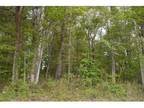 5.05 Reece Road Chuckey, TN 37641 - Photo 20 of 23 Photo 20