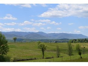 5.05 Reece Road Chuckey, TN 37641 - Photo 22 of 23 Photo 22