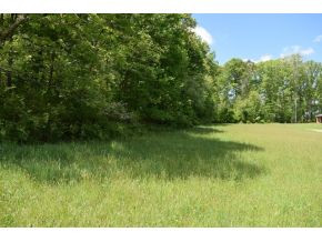 5.05 Reece Road Chuckey, TN 37641 - Photo 3 of 23 Photo 3