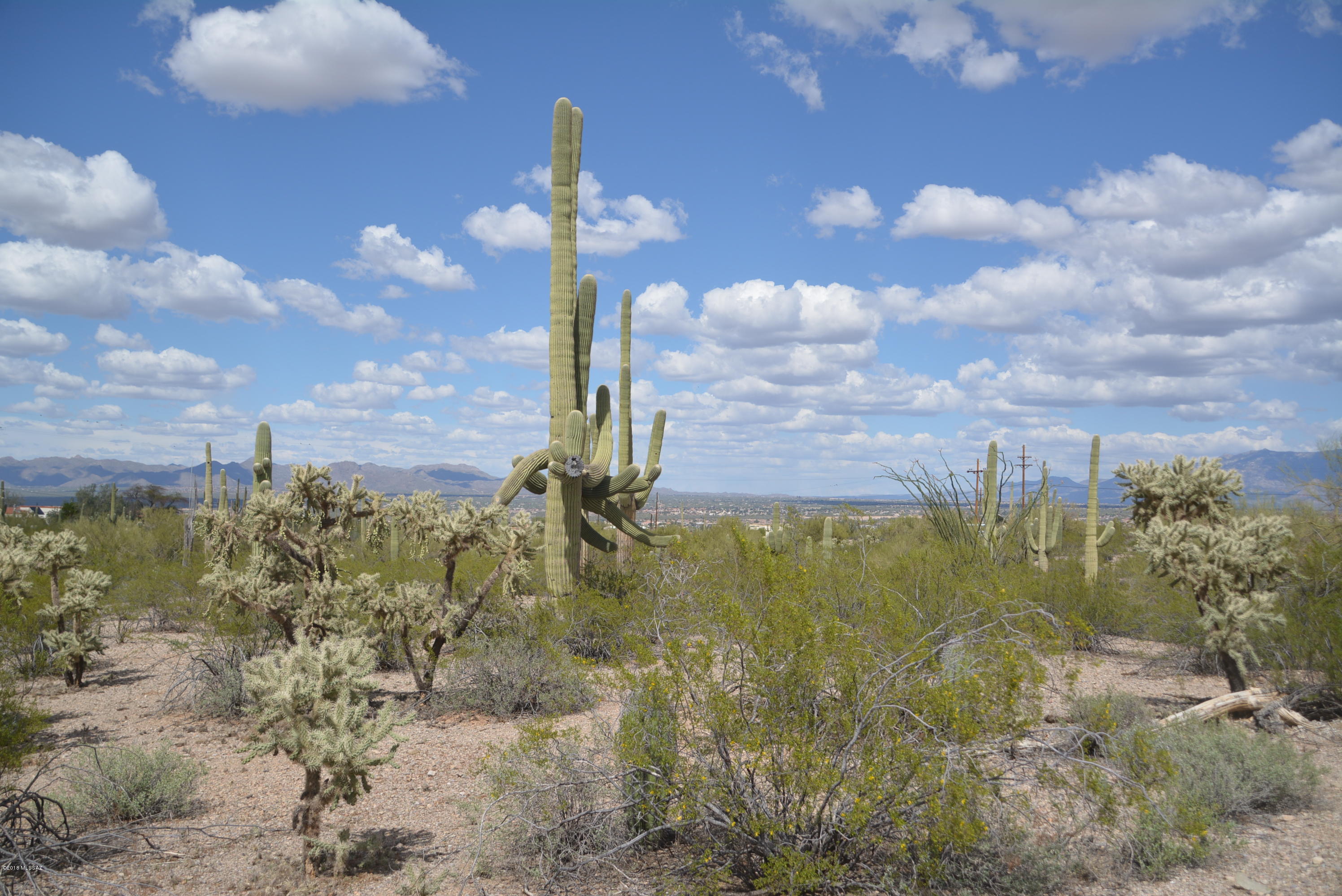 6801 North Wade Road Tucson, AZ 85743 - Photo 6 of 33 Gallery Image 6