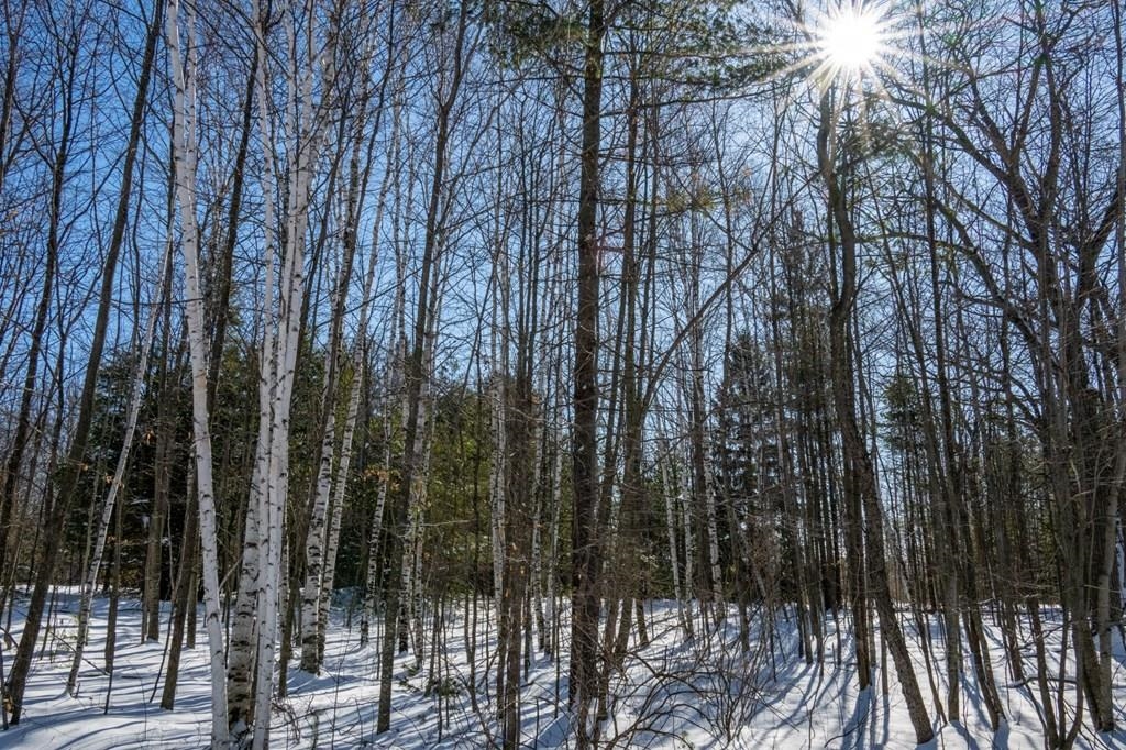Stone Fence Road, Unit 88 Sturgeon Bay, WI 54235 - Photo 2 of 23