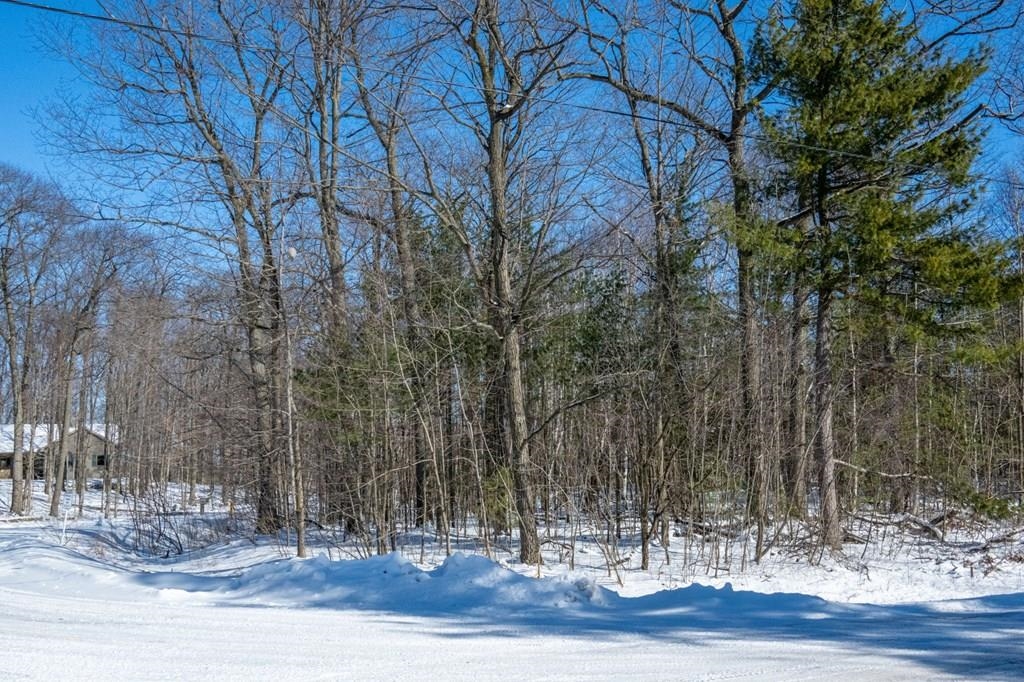 Stone Fence Road, Unit 88 Sturgeon Bay, WI 54235 - Photo 5 of 23