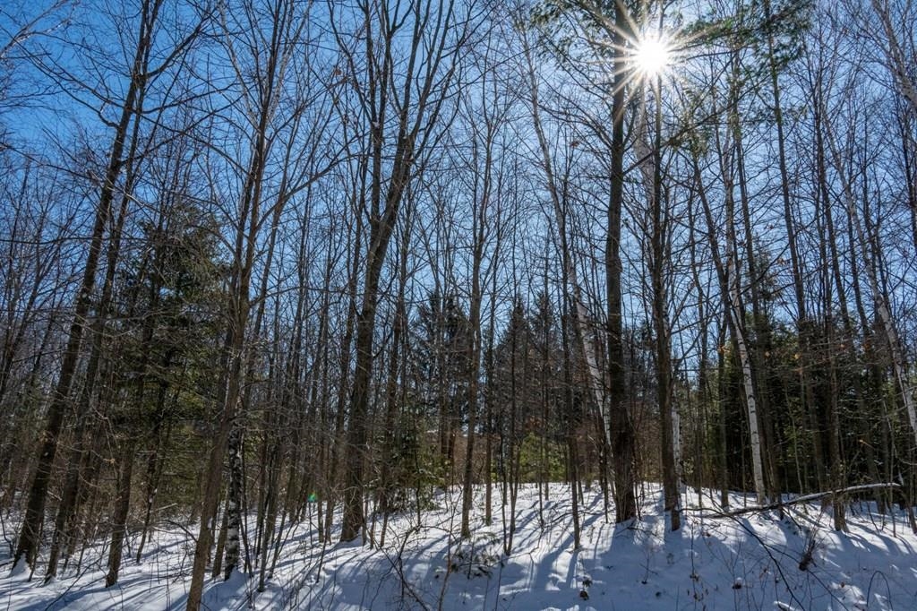 Stone Fence Road, Unit 88 Sturgeon Bay, WI 54235 - Photo 7 of 23