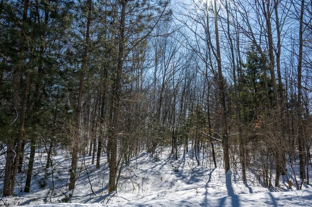 Stone Fence Road, Unit 88 Sturgeon Bay, WI 54235 - Photo 8 of 23