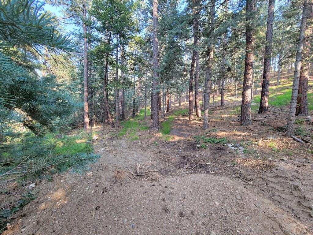 8335 Zorn Road Rye, CO 81069 - Photo 28 of 49