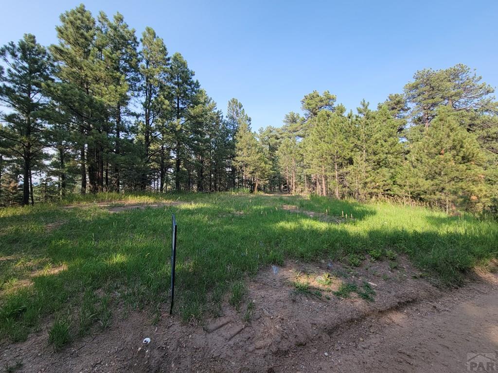 8335 Zorn Road Rye, CO 81069 - Photo 3 of 49