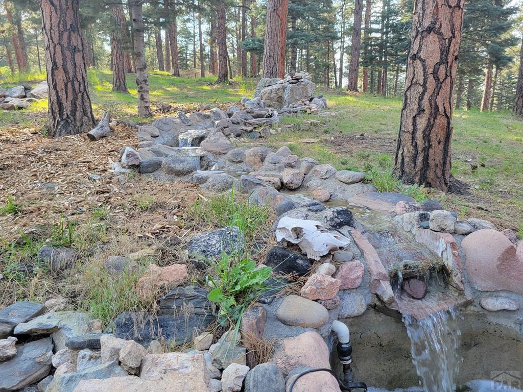 8335 Zorn Road Rye, CO 81069 - Photo 31 of 49