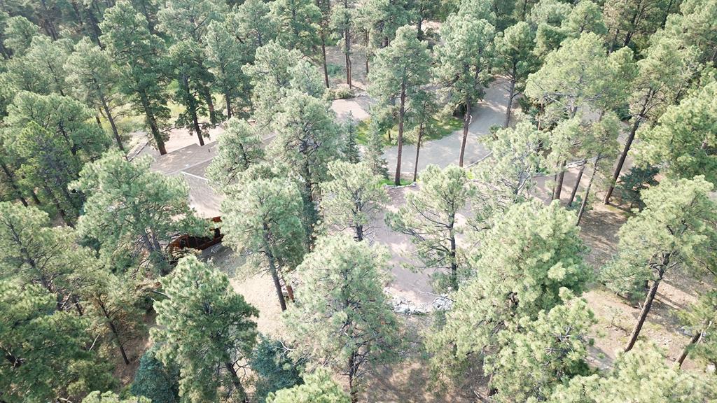 8335 Zorn Road Rye, CO 81069 - Photo 46 of 49