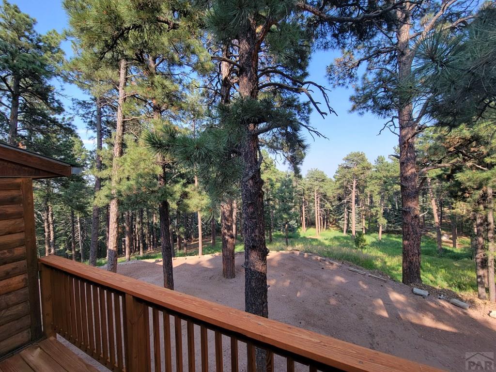 8335 Zorn Road Rye, CO 81069 - Photo 7 of 49