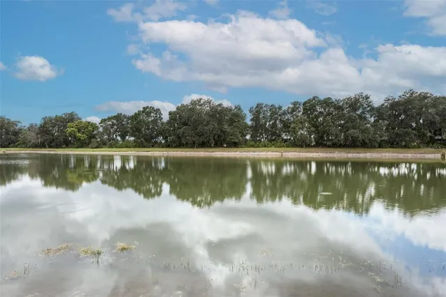 $849,900 | 4915 Butler National Drive, Wesley Chapel, FL 33543