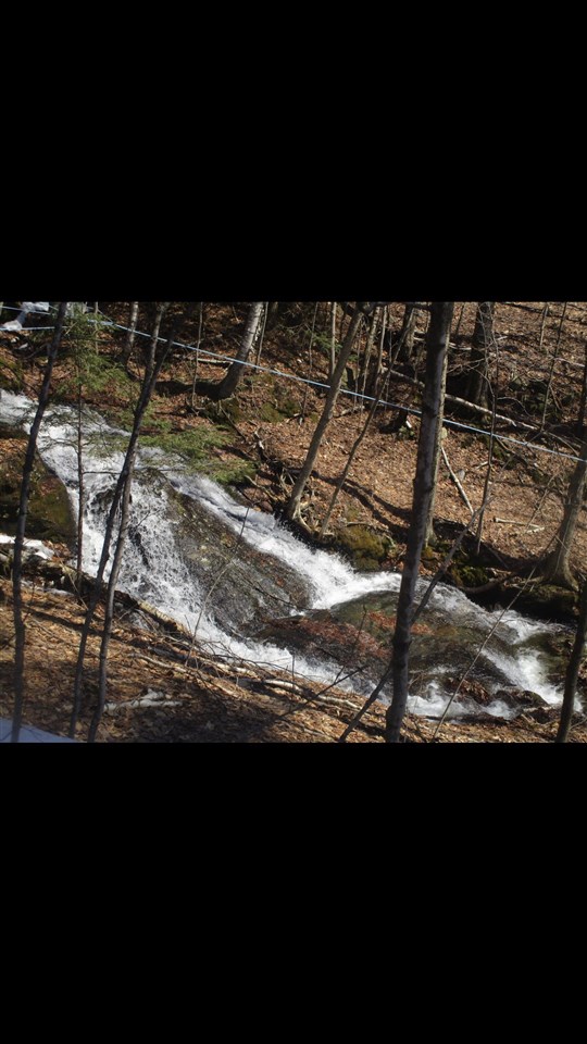 384 Back Road Belvidere, VT 05442 - Photo 4 of 20