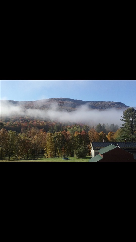 384 Back Road Belvidere, VT 05442 - Photo 5 of 20
