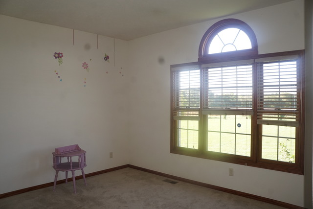 511 Rock Island Road Dixon, IL 61021 - Photo 8 of 15