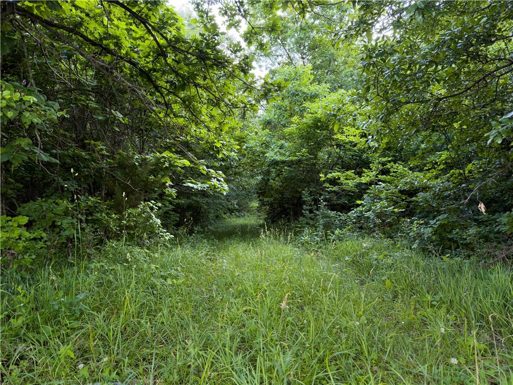 Tbd Rattlesnake Road Polo, MO 64671 - Photo 23 of 32