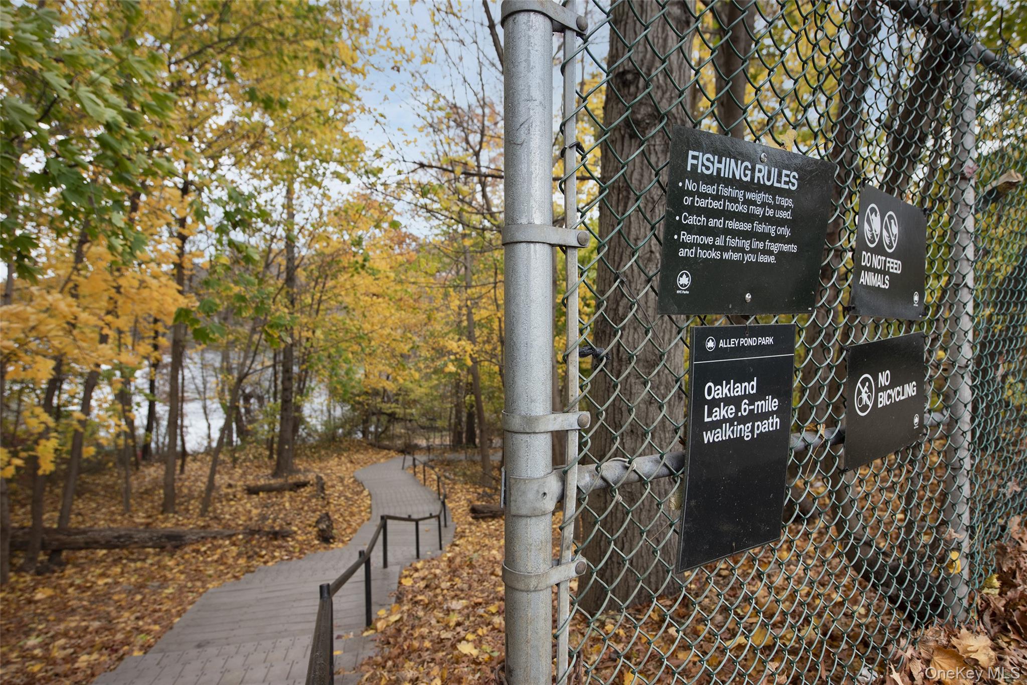 46-42 215th Place, Unit 1C Queens, NY 11361 - Photo 26 of 28 a city view with tall buildings