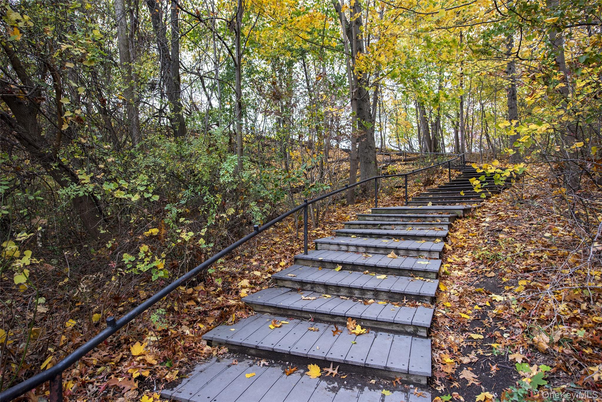46-42 215th Place, Unit 1C Queens, NY 11361 - Photo 28 of 28 a view of entryway with wooden floor