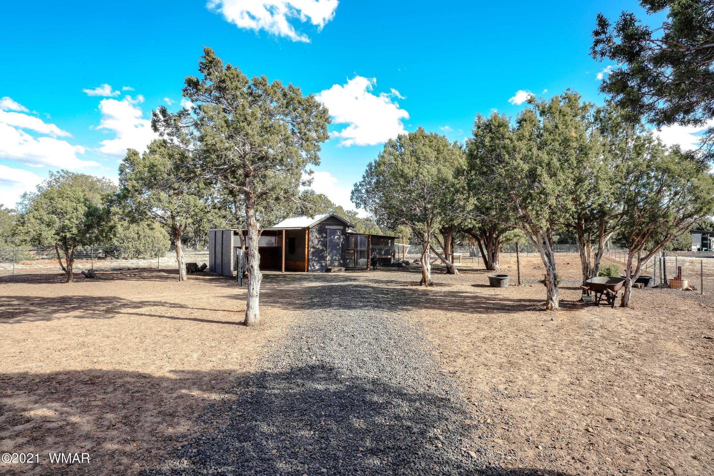 6970 Thomas Ranch Road Show Low, AZ 85901 - Photo 32 of 75 Gallery Image 32