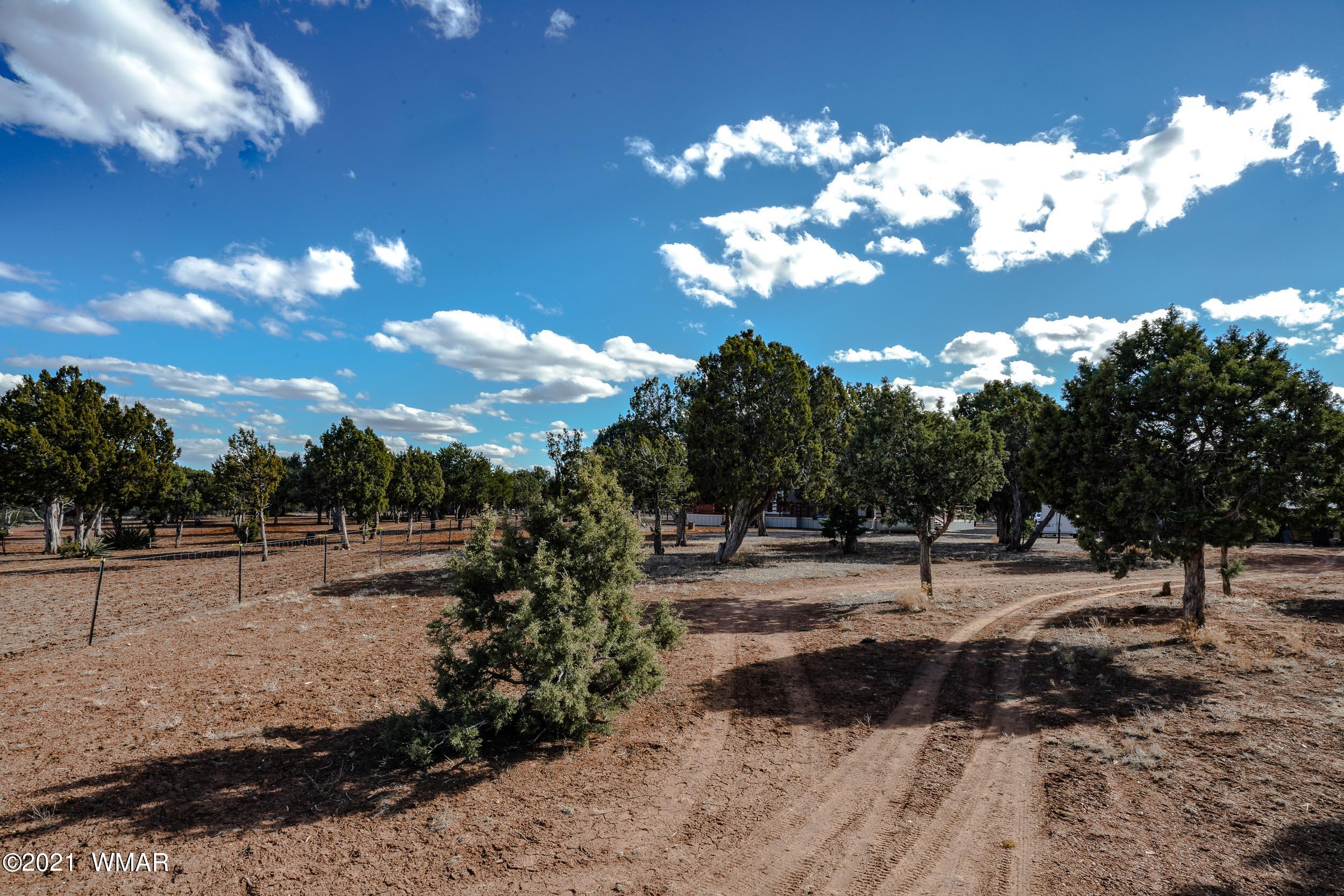 6970 Thomas Ranch Road Show Low, AZ 85901 - Photo 39 of 75 Gallery Image 39