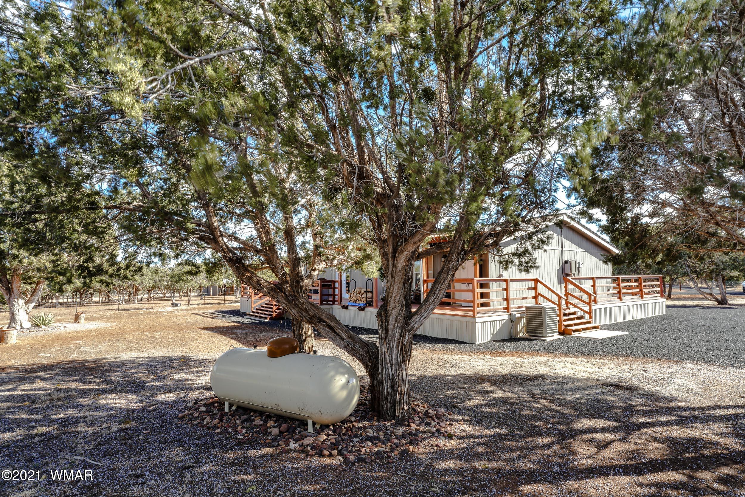 6970 Thomas Ranch Road Show Low, AZ 85901 - Photo 40 of 75 Gallery Image 40