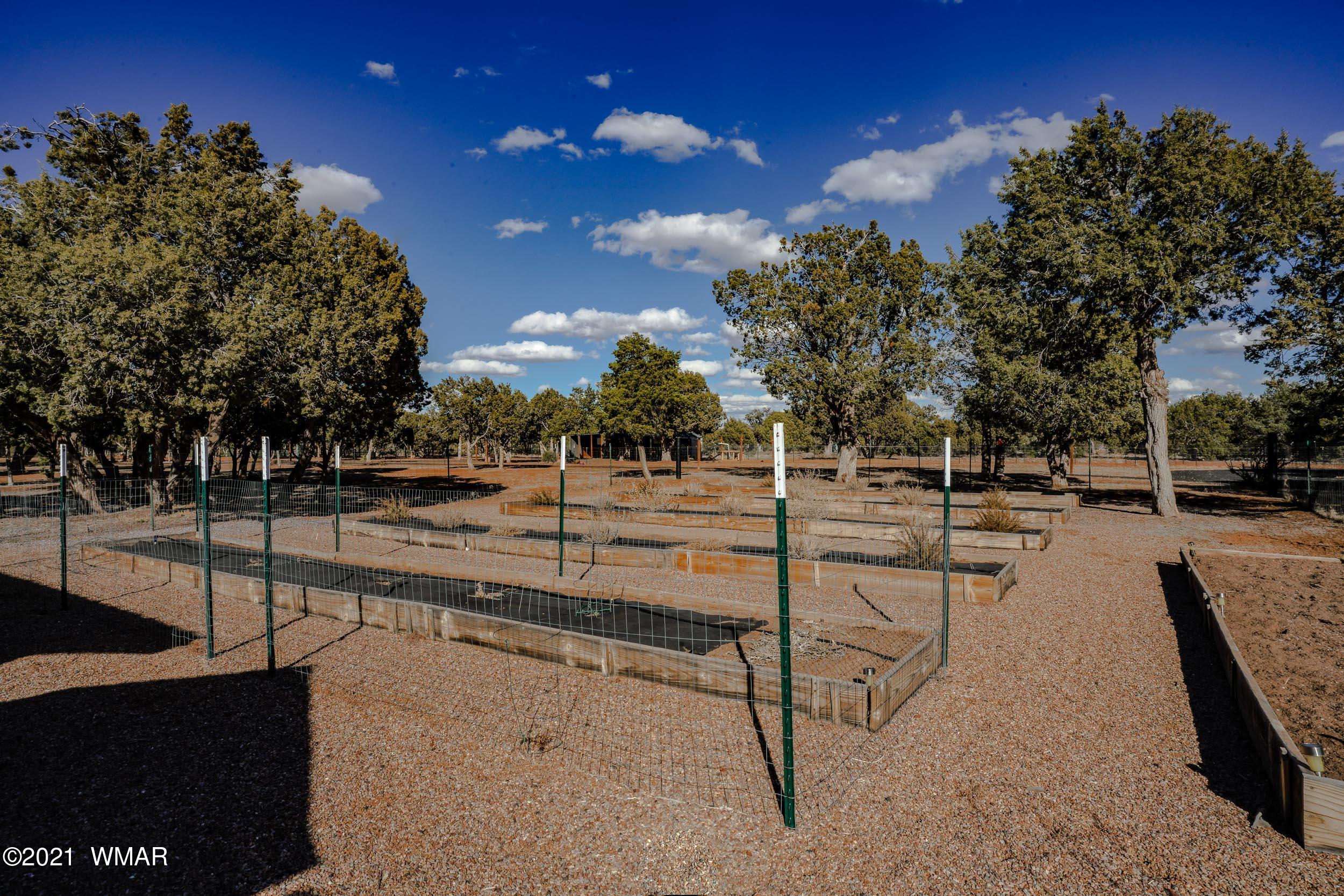 6970 Thomas Ranch Road Show Low, AZ 85901 - Photo 56 of 75 Gallery Image 56