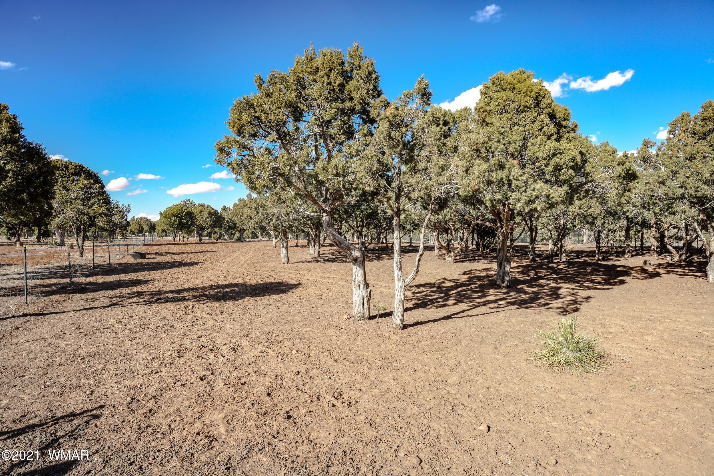 6970 Thomas Ranch Road Show Low, AZ 85901 - Photo 58 of 75 Gallery Image 58