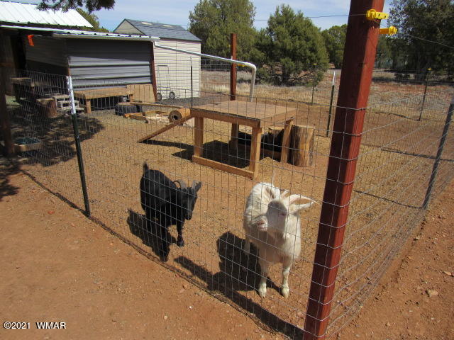 6970 Thomas Ranch Road Show Low, AZ 85901 - Photo 61 of 75 Gallery Image 61