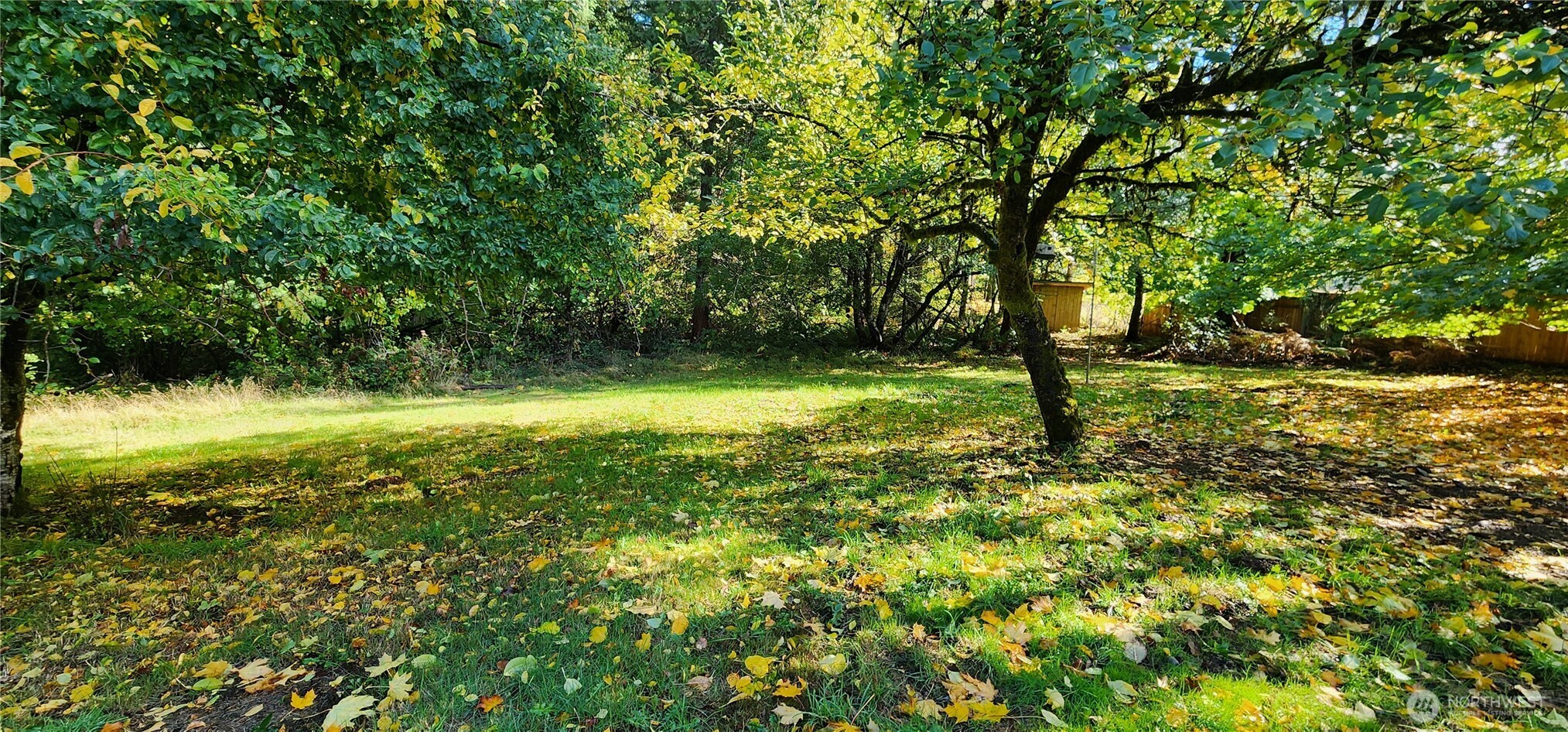 1216 Kaiser Road Southwest Olympia, WA 98512 - Photo 21 of 31 a view of outdoor space with deck and yard