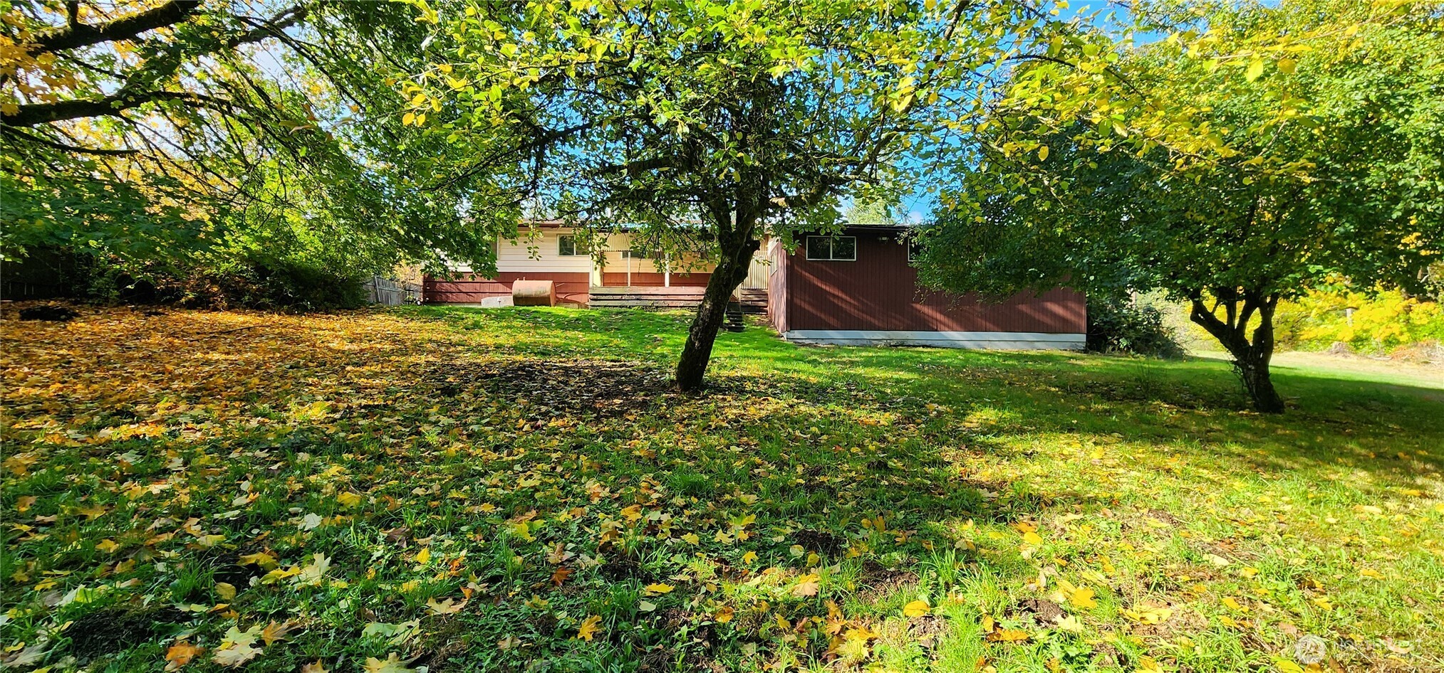 1216 Kaiser Road Southwest Olympia, WA 98512 - Photo 22 of 31 a fire hydrant in the middle of a field