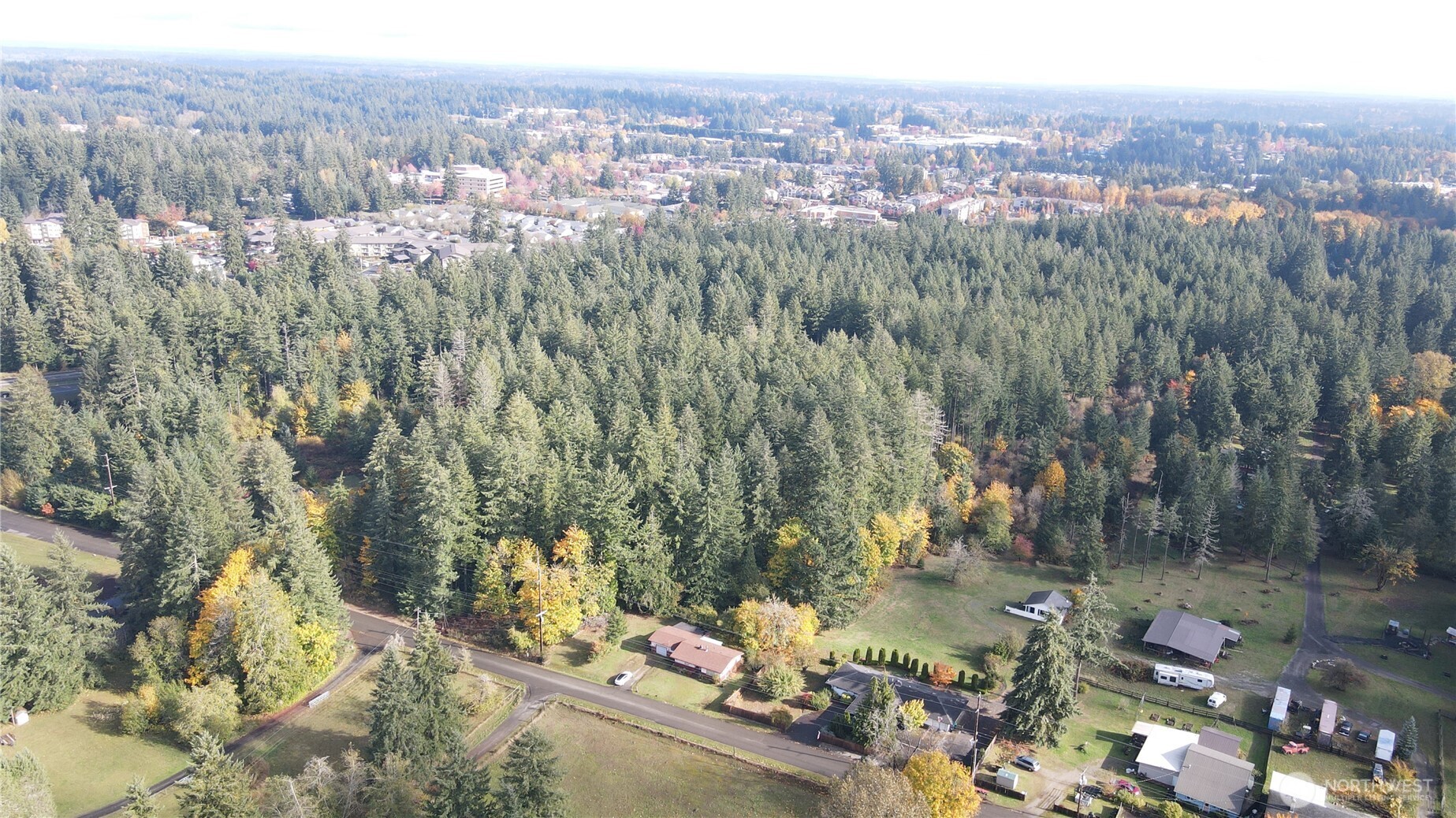 1216 Kaiser Road Southwest Olympia, WA 98512 - Photo 25 of 31 an aerial view of a house with a yard