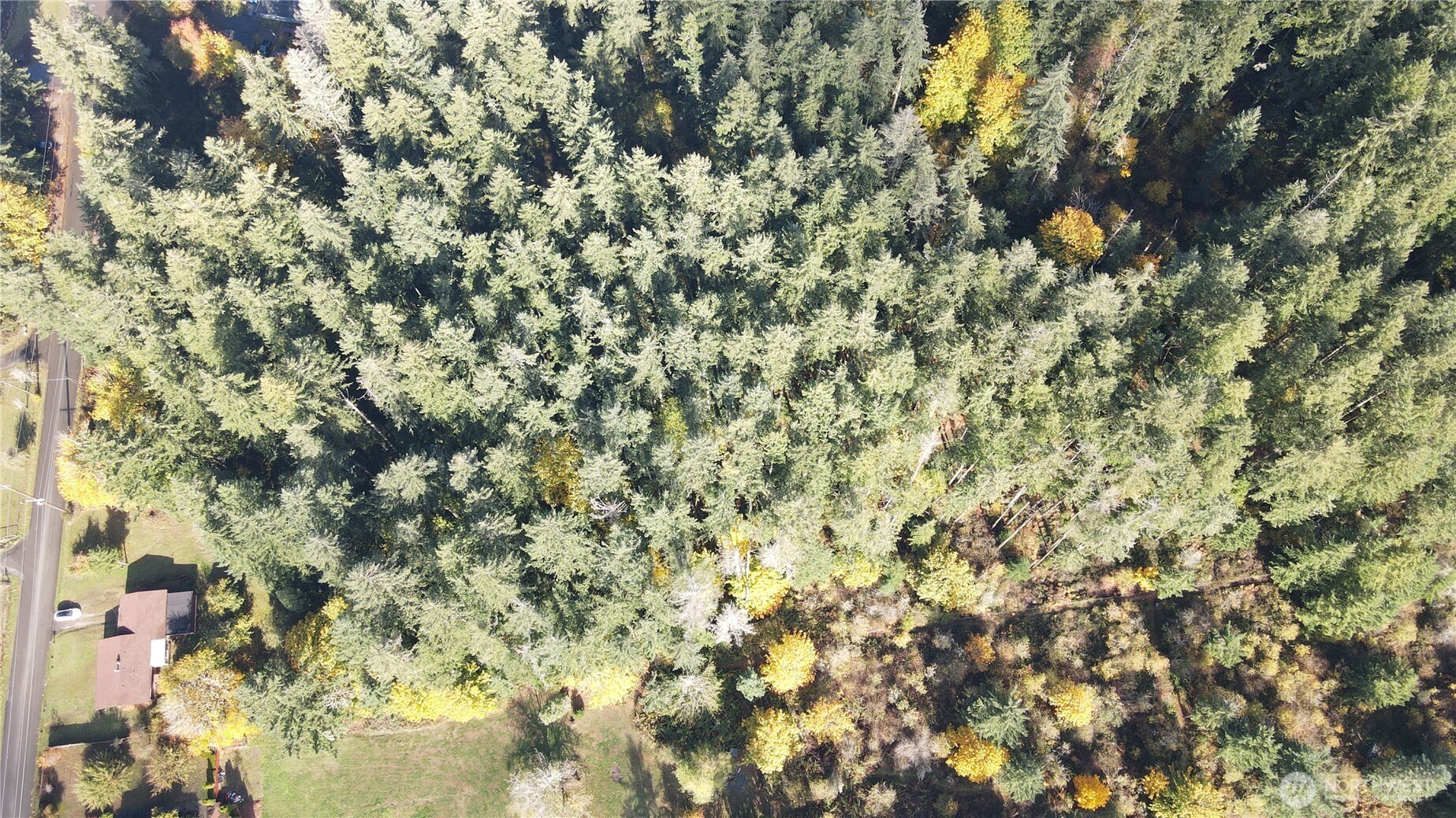 1216 Kaiser Road Southwest Olympia, WA 98512 - Photo 29 of 31