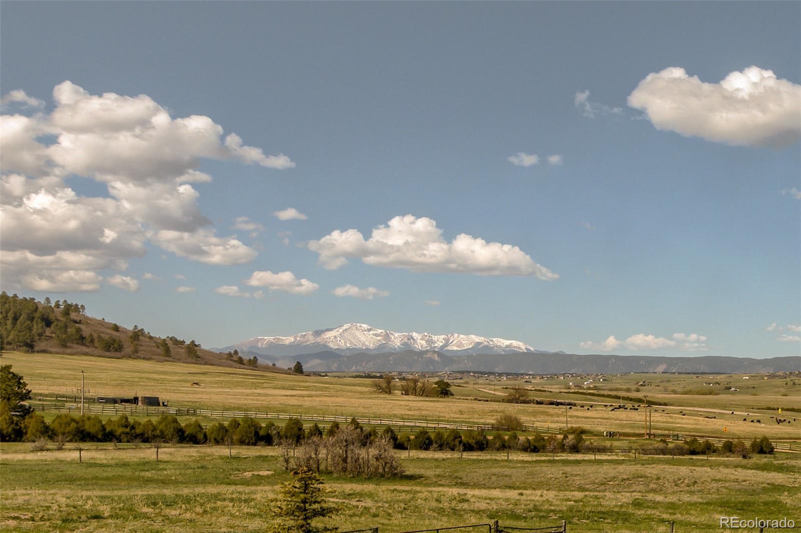 8155 Jones Road Franktown, CO 80116 - Photo 20 of 40 Gallery Image 20