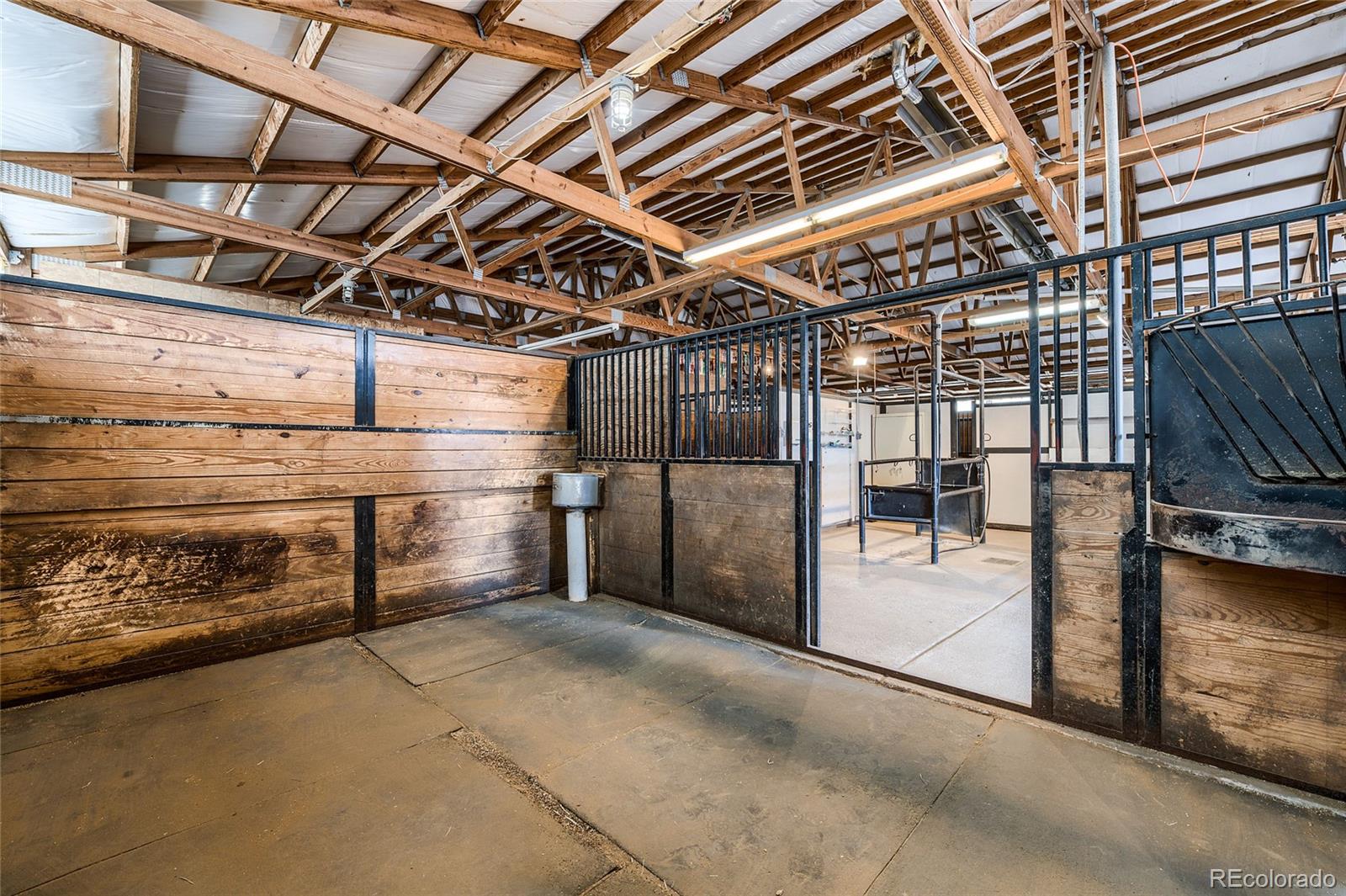 8155 Jones Road Franktown, CO 80116 - Photo 25 of 40 Gallery Image 25