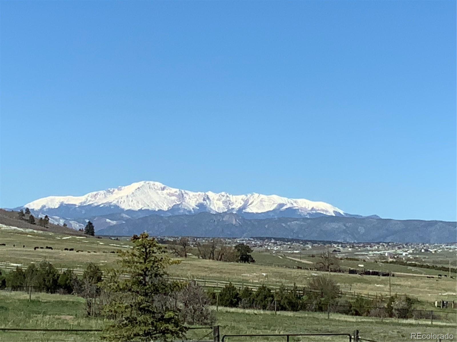 8155 Jones Road Franktown, CO 80116 - Photo 8 of 40 Gallery Image 8
