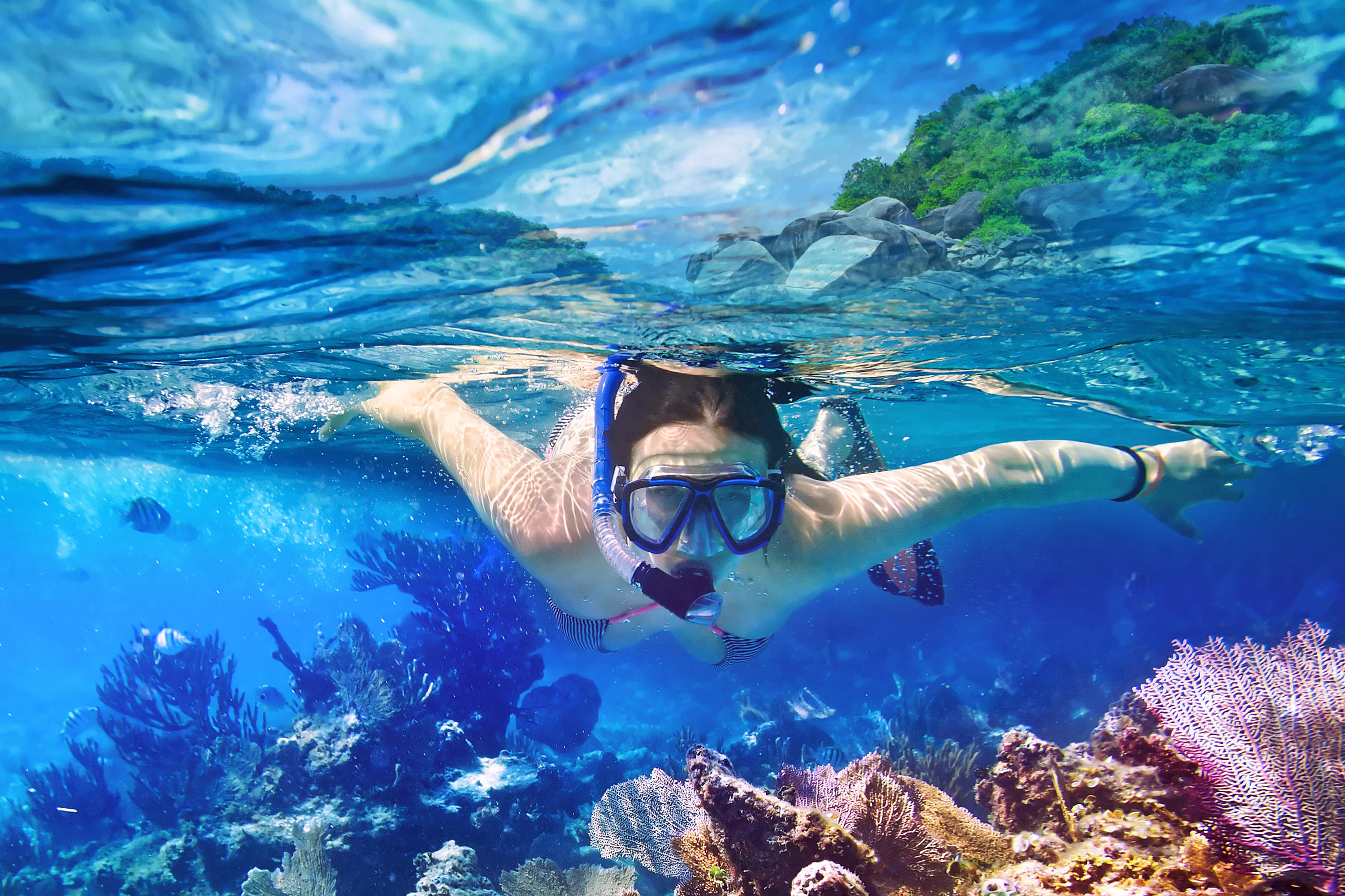 151 South Country Club Boulevard Boca Raton, FL 33487 - Photo 23 of 48 snorkeling