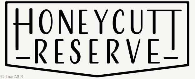 6707 Honeycutt Reserve Drive Oak Ridge, NC 27310 - Photo 32 of 42