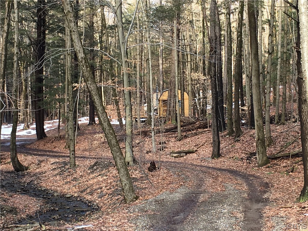 Lot #1 Springer Road De Ruyter, NY 13052 - Photo 1 of 1 Gallery Image 1