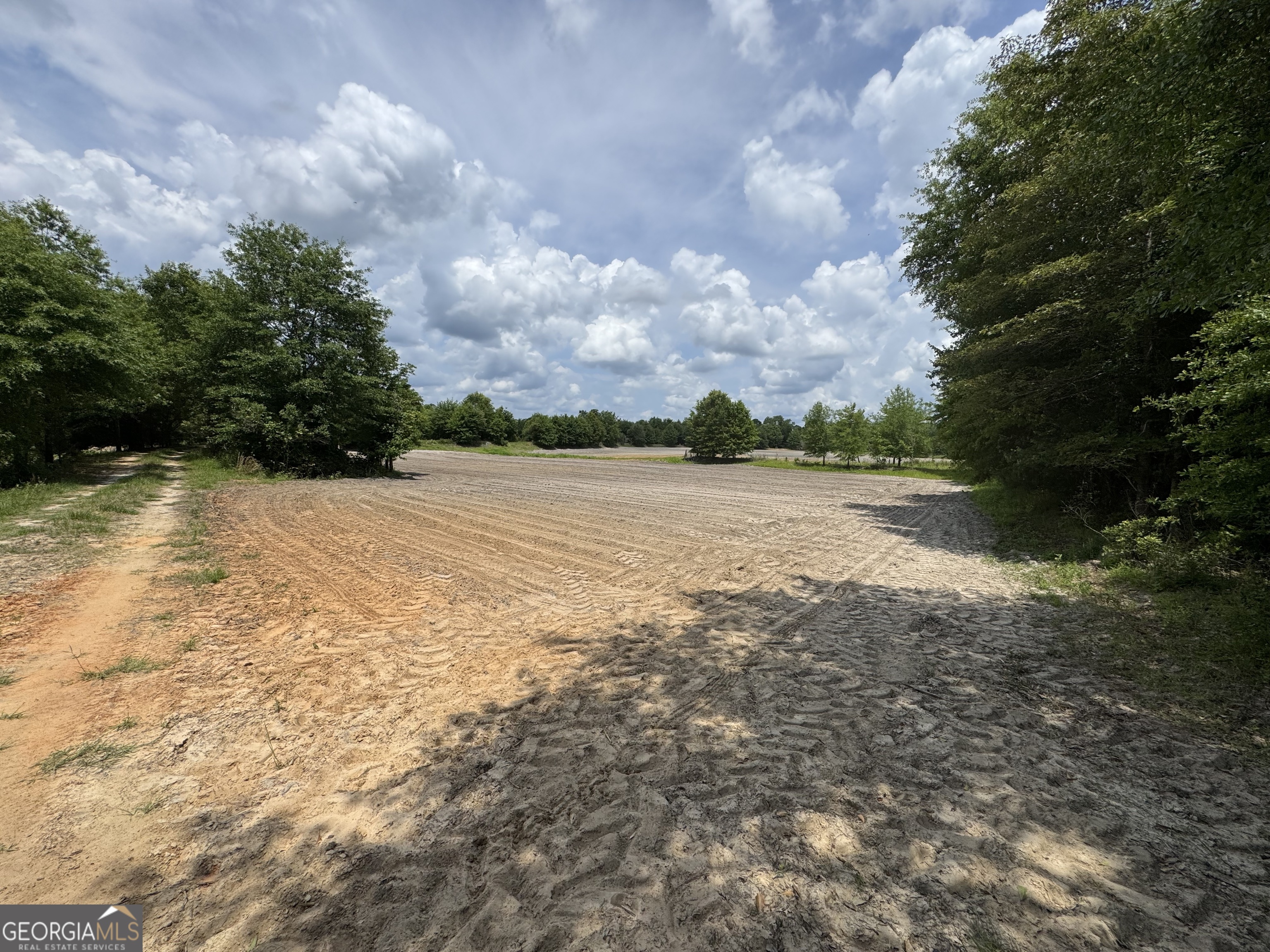 0 Rocky Mt Church Road Eufaula, AL 36027 - Photo 10 of 35