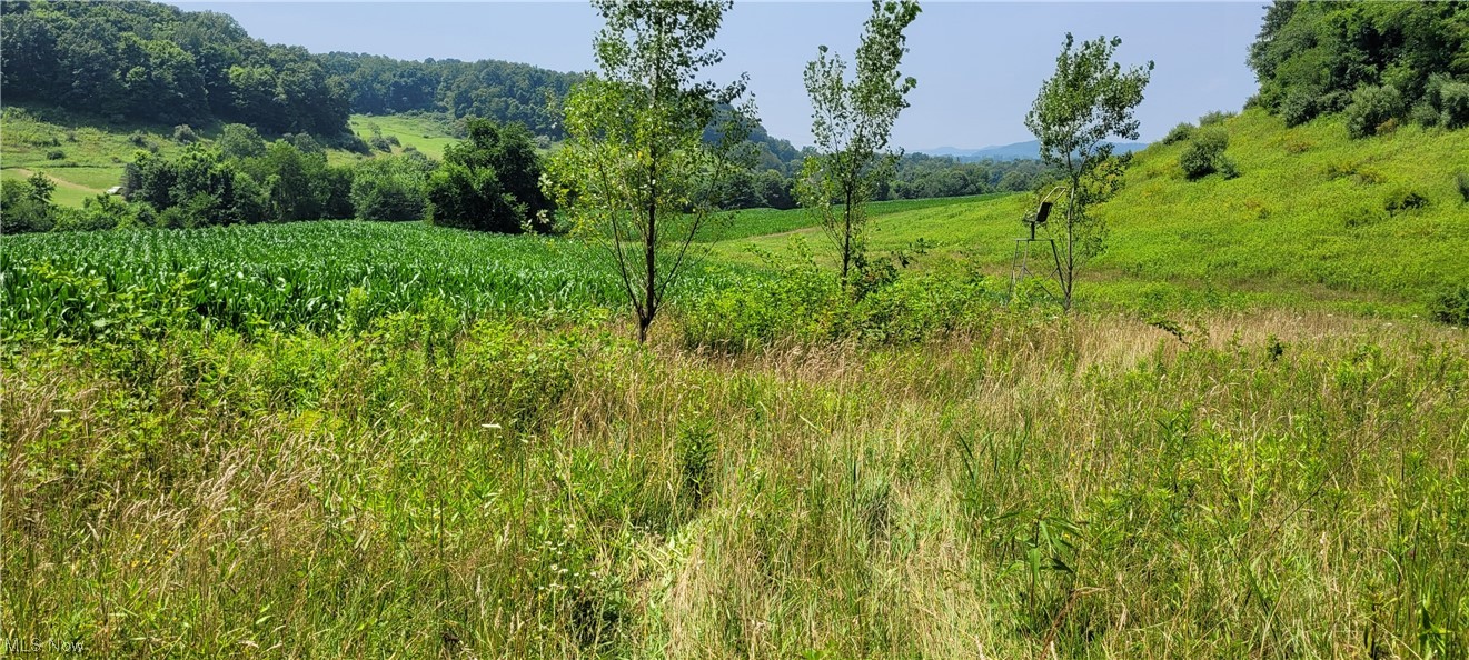 Southeast Edwards Ridge Road Southeast Uhrichsville, OH 44683 - Photo 20 of 34 Gallery Image 20