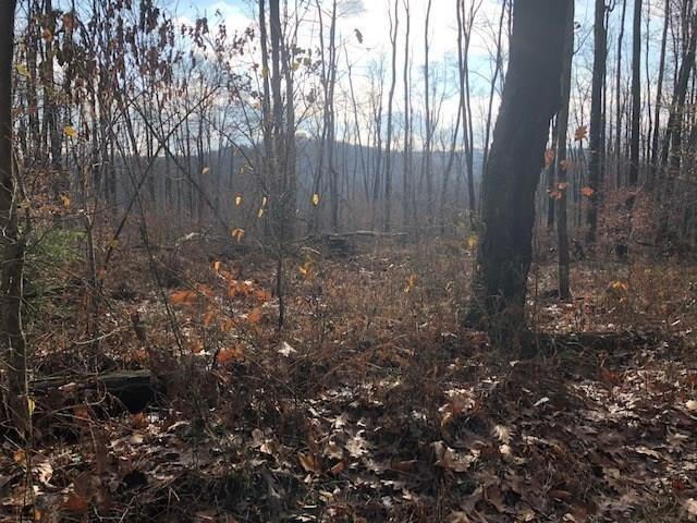 0 Pounds Road Rossiter, PA 15772 - Photo 2 of 3 Property