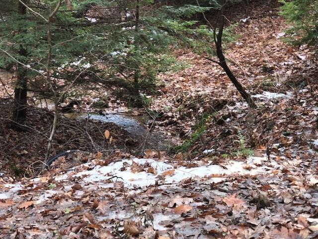 0 Pounds Road Rossiter, PA 15772 - Photo 3 of 3 Property-Creek