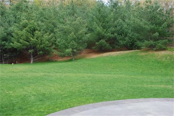 41 Brandywine Road Franklin, MA 02038 - Photo 28 of 30 Gallery Image 28