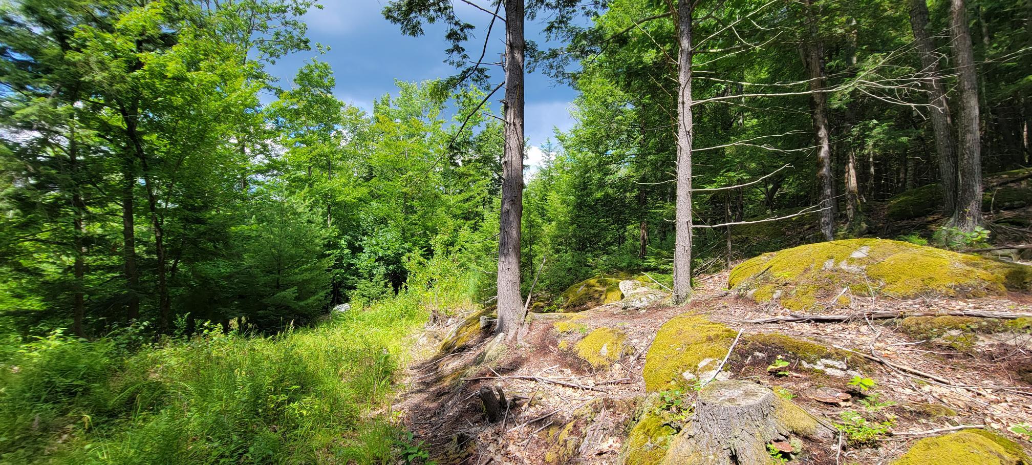 3 Pownal Road Auburn, ME 04210 - Photo 1 of 10 20220729_140456
