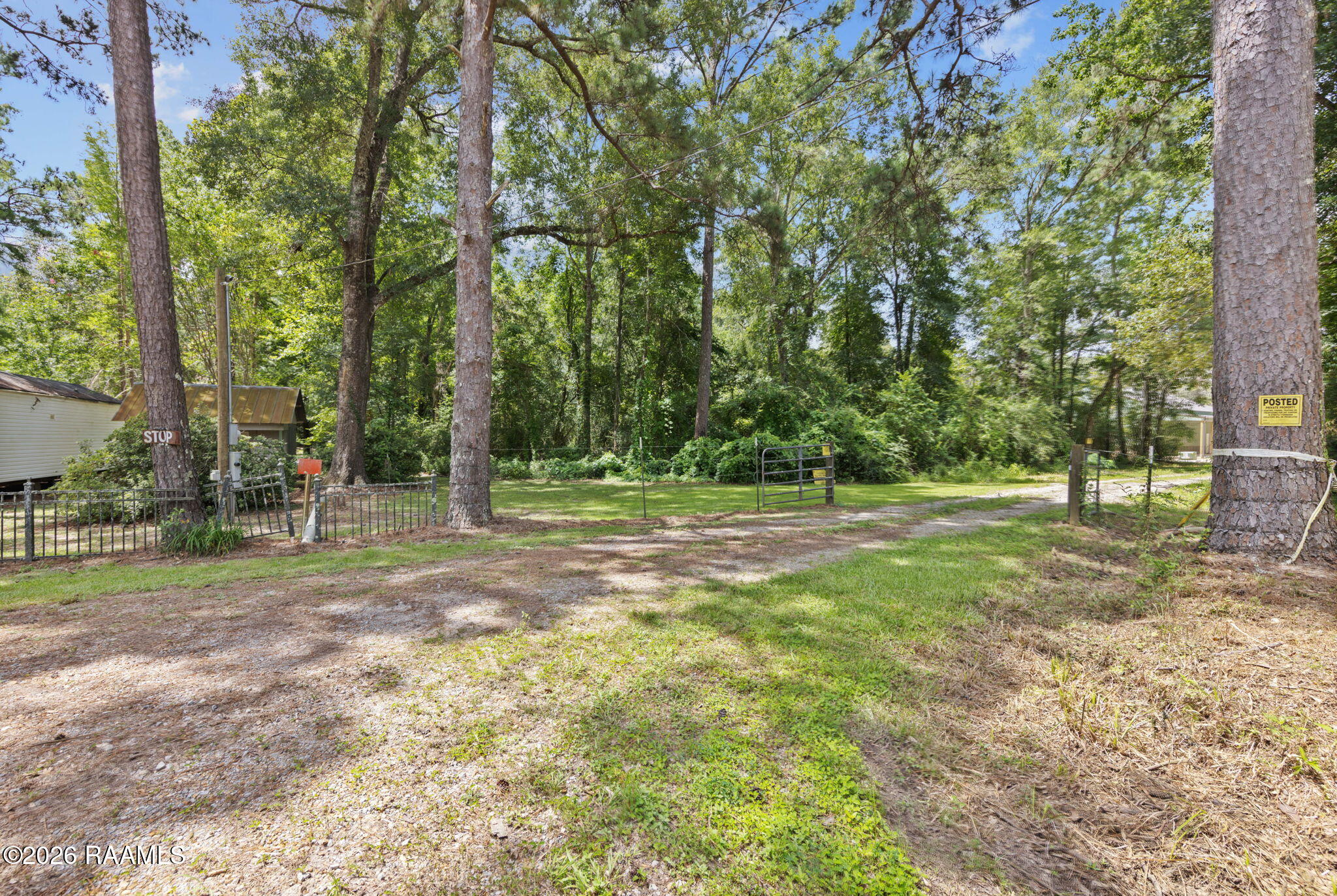 301 Crabapple Road Iota, LA 70543 - Photo 10 of 40 10-web-or-mls-803A6134
