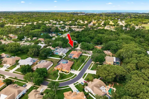 $939,000 | 2016 Swan Lane, Palm Harbor, FL 34683