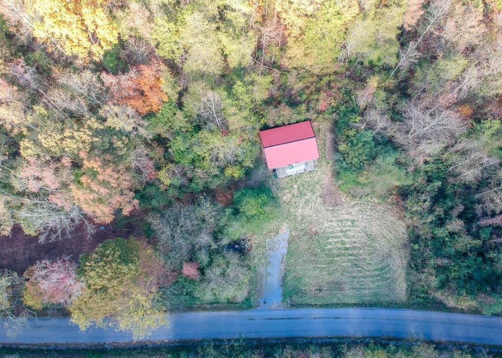 423 Macedonia Road Spring City, TN 37381 - Photo 40 of 47 Gallery Image 40