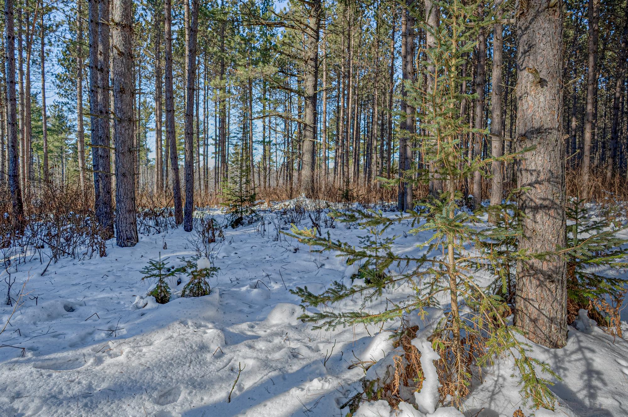 Off Deerskin Road, Unit LOT 3 Eagle River, WI 54521 - Photo 12 of 25 Gallery Image 12