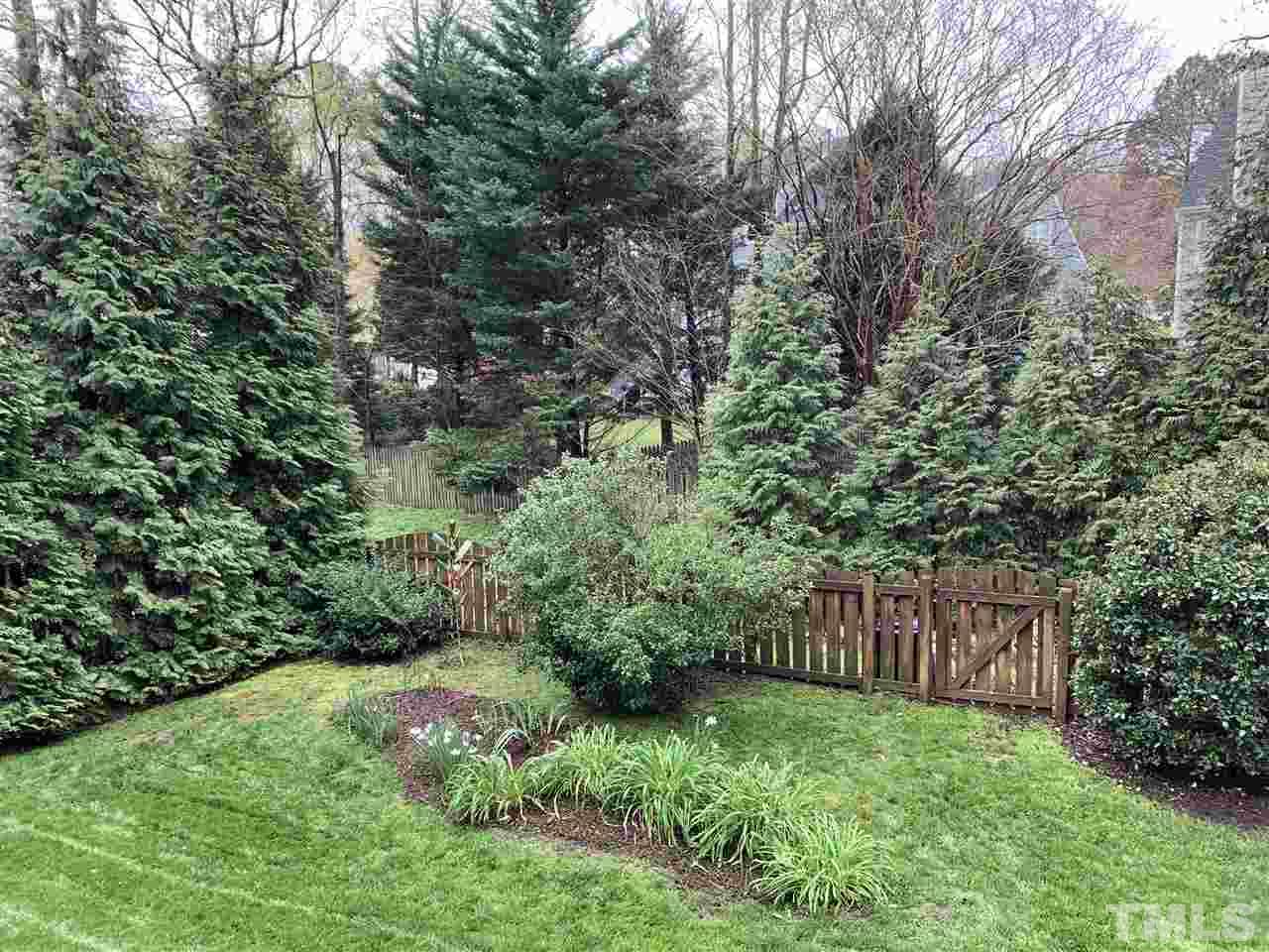 9105 Cub Trail Raleigh, NC 27615 - Photo 22 of 22 a view of a yard with plants and a large tree