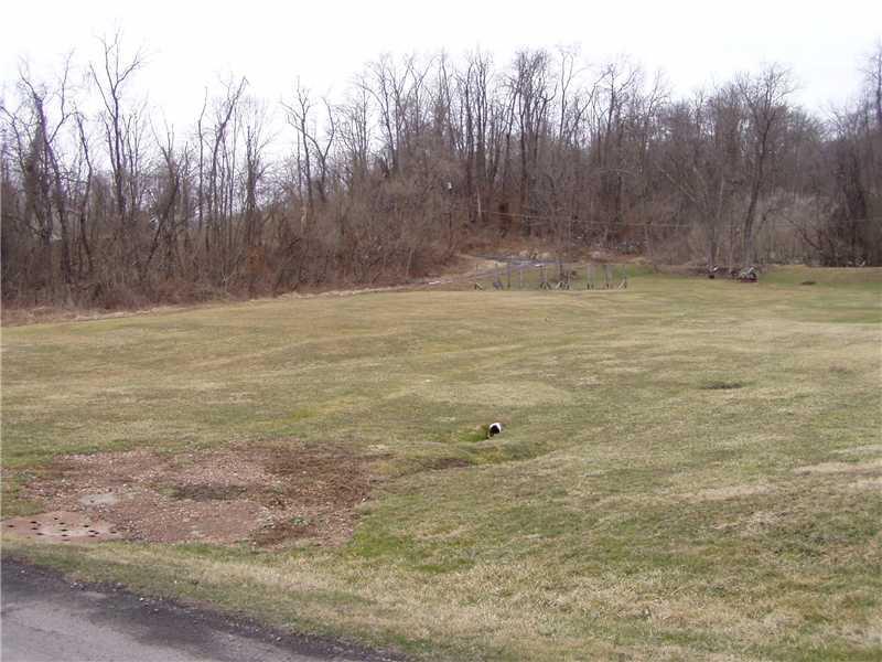27 Blanche Road Fredericktown, PA 15333 - Photo 18 of 24 Yard/Garden. Side Yard