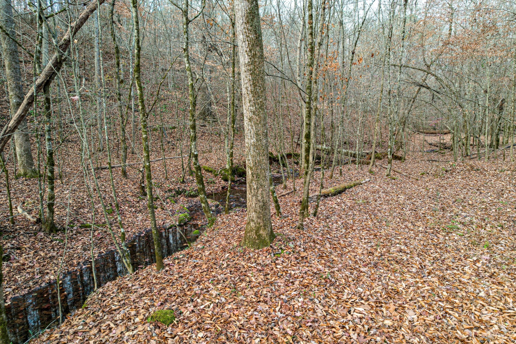 2324 County Road 758 Riceville, TN 37370 - Photo 38 of 43 Gallery Image 38